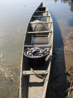 02 Pirogue De Retour Apres La Peche